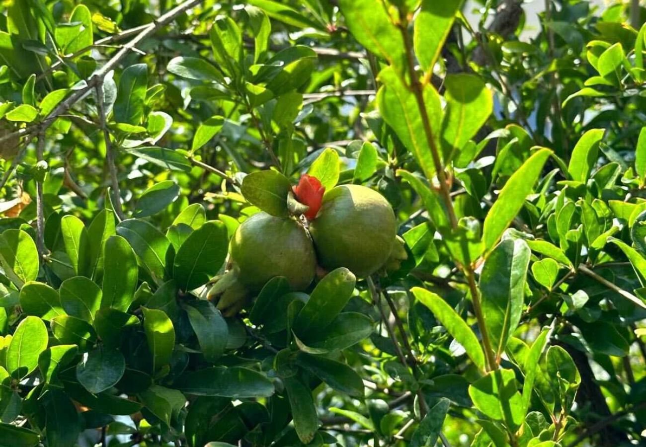 Villa in Nueva andalucia - Villa Enso