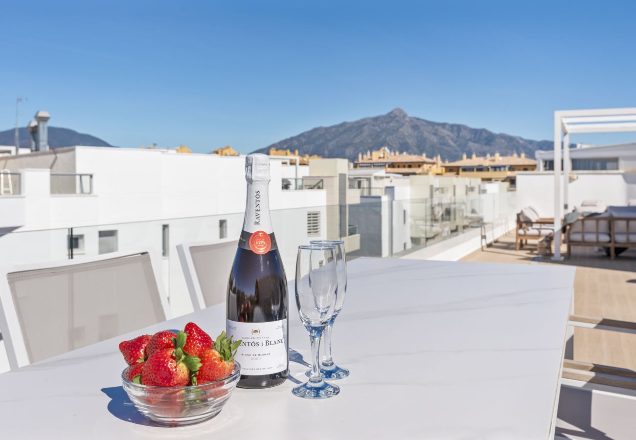 Apartment in San Pedro de Alcántara - San Pedro Beachside Penthouse