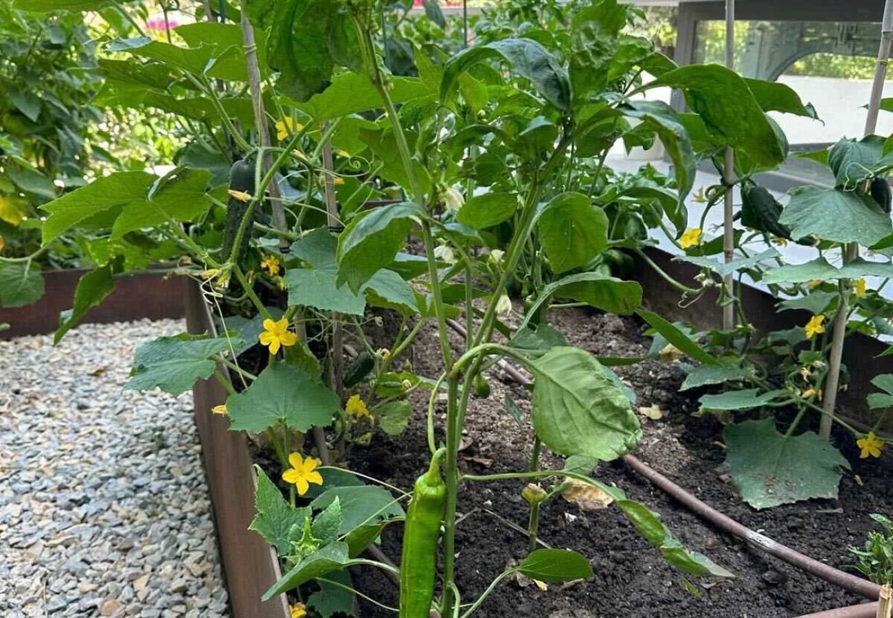 Villa i Nueva andalucia - Villa Enso